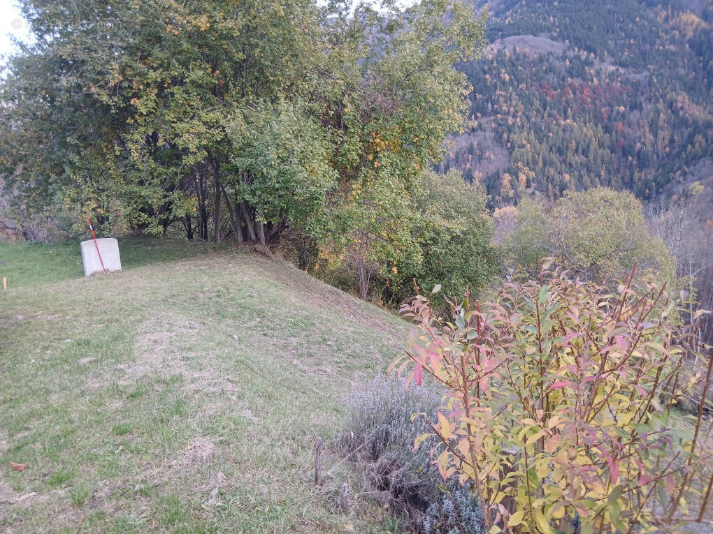 Terrain à SAINT-COLOMBAN-DES-VILLARDS