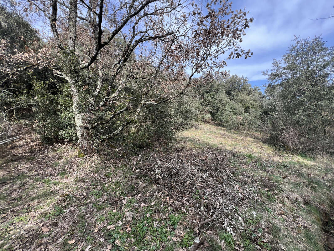 Terrain à SAINT-PERAY