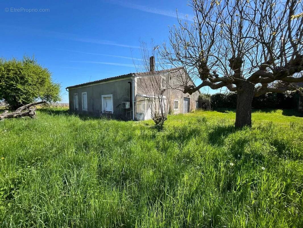 Maison à PUISSEGUIN