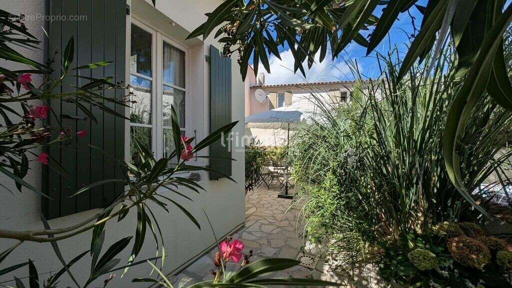 Appartement à SAINT-MARTIN-DE-RE