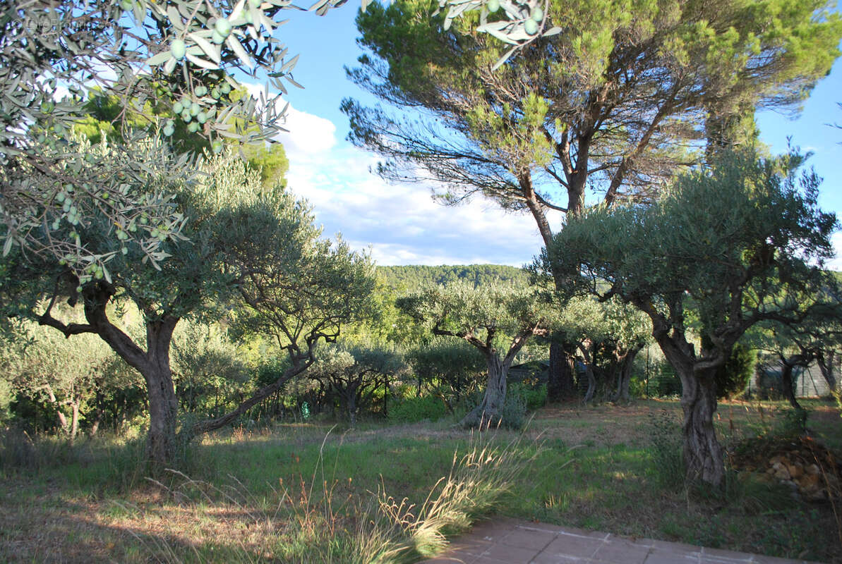 Terrain à SALERNES