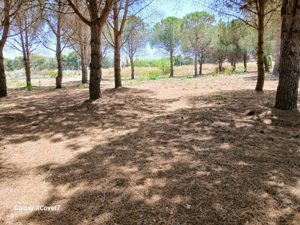 Terrain à PERPIGNAN