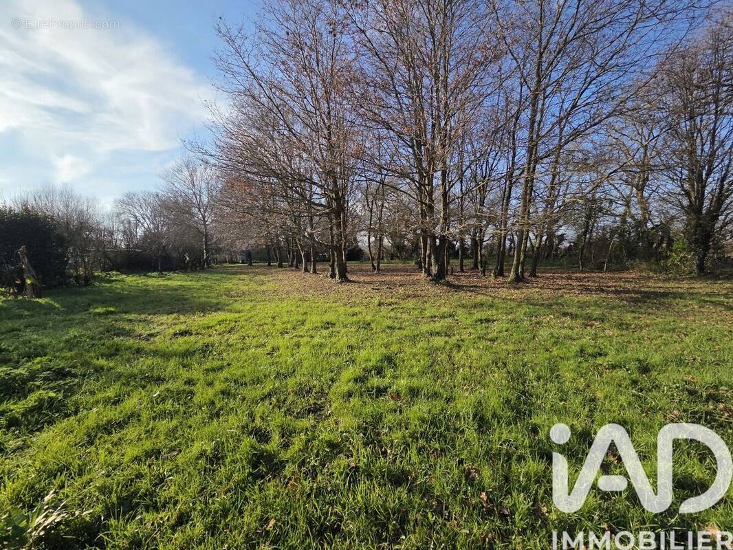 Photo 1 - Terrain à SAINT-MOLF