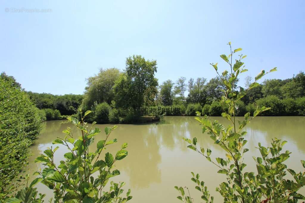 Longere de charme avec etang prive, parc arbore et environnement privilegie - photo 7