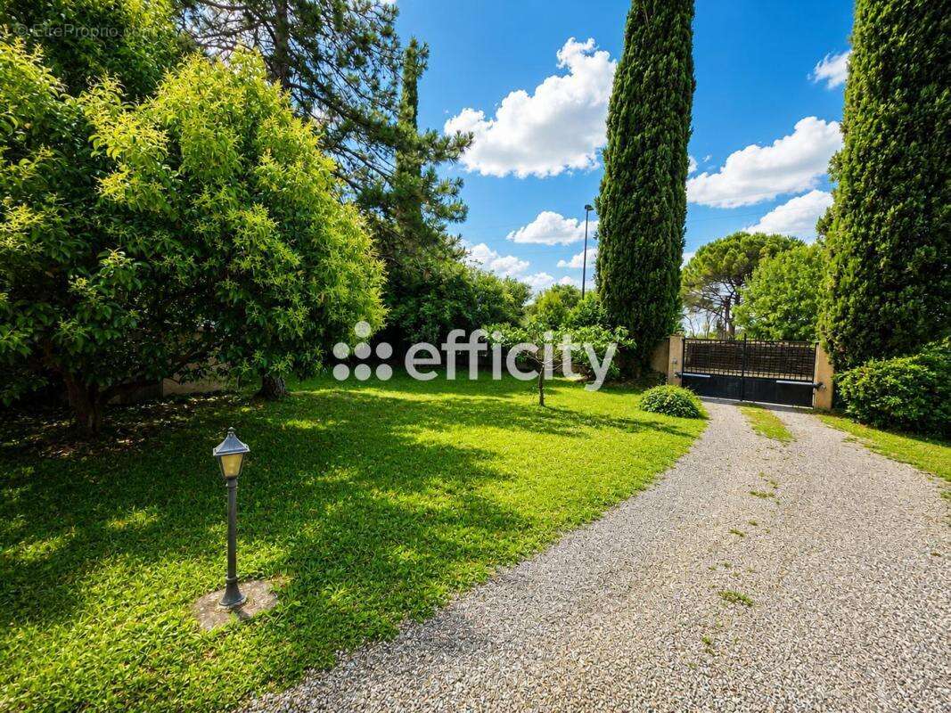 Maison 160 m² à Mougins  - photo 6