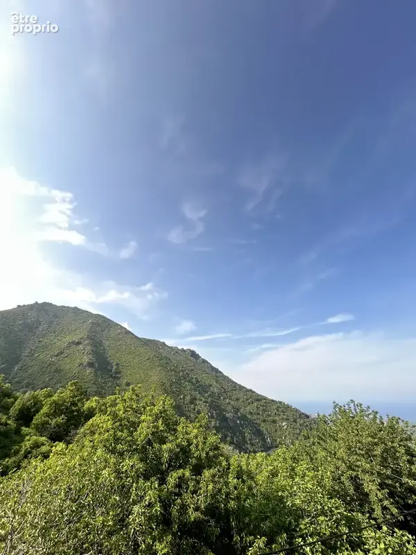 Maison de village avec magnifique vue mer   Cotone - photo 11