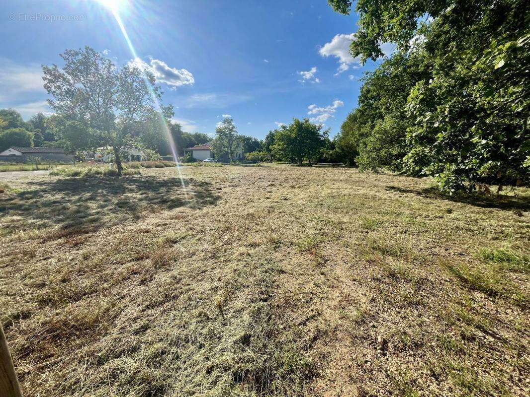  1 643 m² Viabilisé & Libre de Constructeur - photo 3