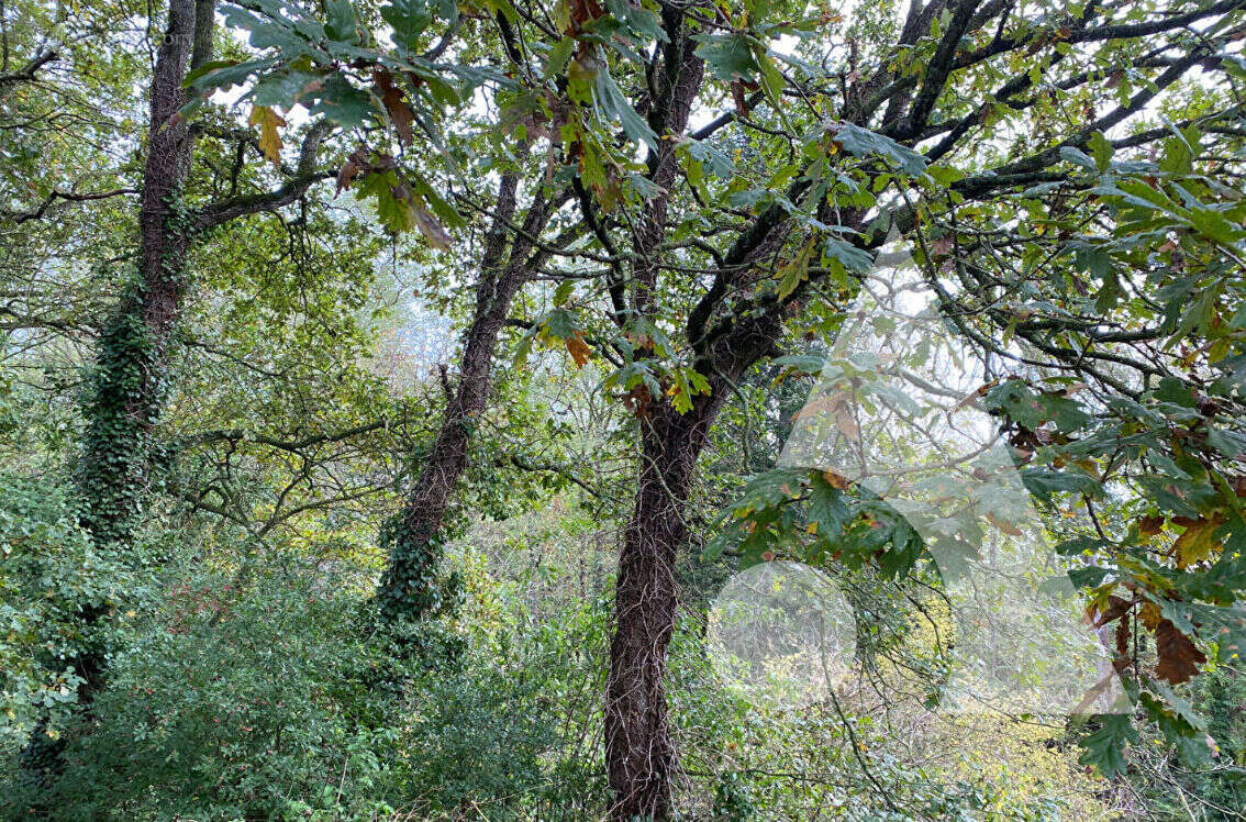 Terrain à ENTRECASTEAUX