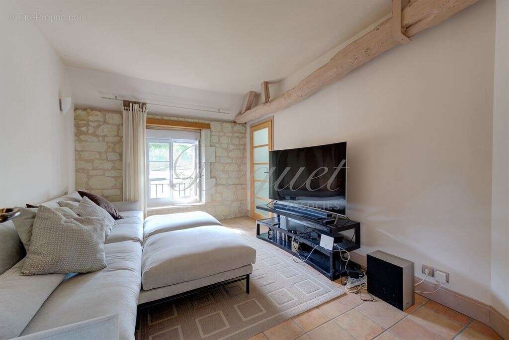 Indre et loire - chinon / thizay 37500 - maison 234 m² - 5 ch - deux gites - piscine - parc 8 000 m² - photo 8