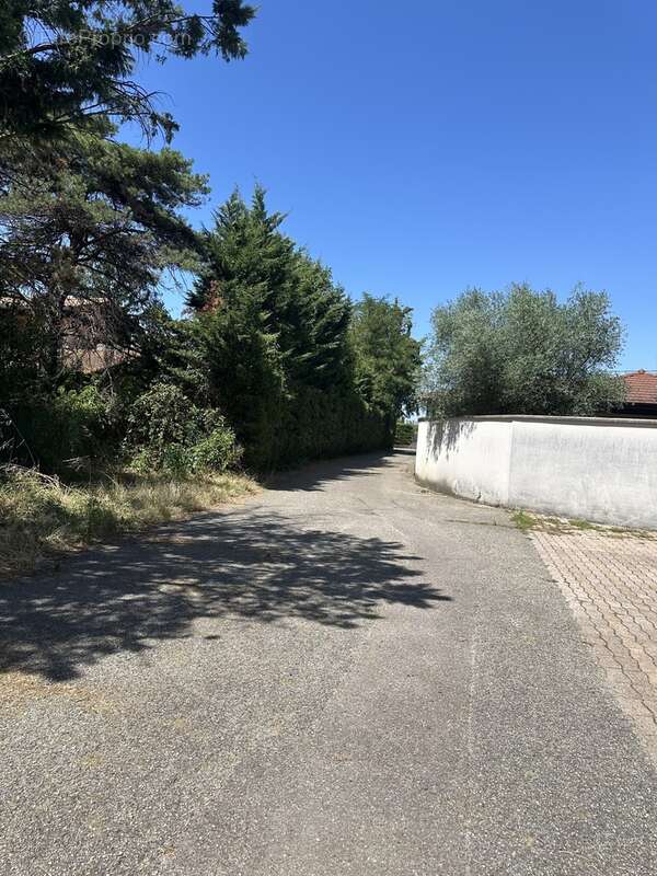 Maison t7 de 220 m2 - photo 2