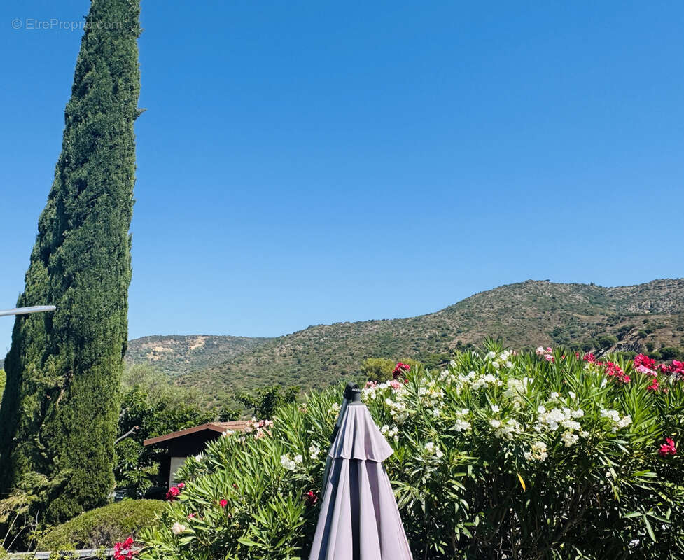 Maison à BORMES-LES-MIMOSAS