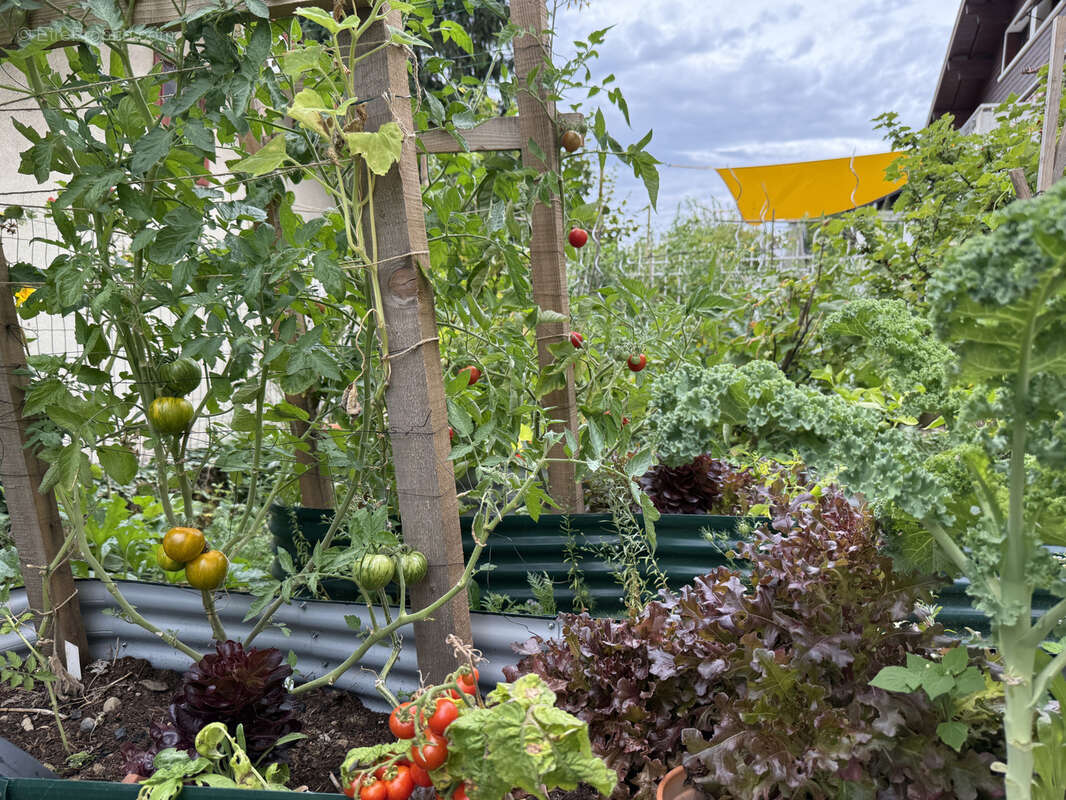 Appartement à ANNECY-LE-VIEUX