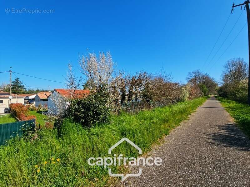 Maison à SAINTE-LIVRADE-SUR-LOT