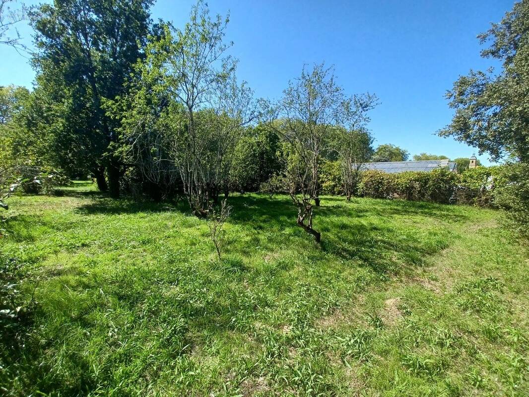 Photo 1 - Terrain à REALMONT