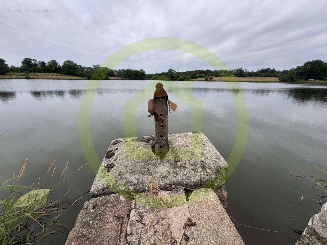 Terrain à CHENERAILLES