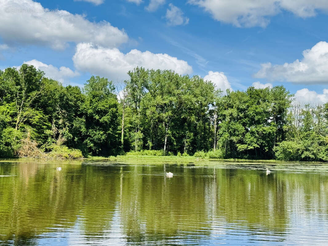 Terrain à LA CHAUX-EN-BRESSE