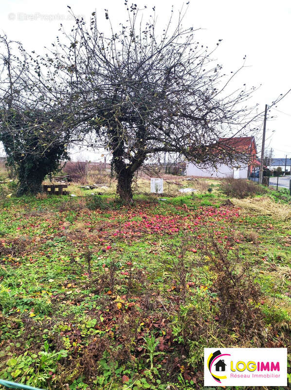 Commerce à VILLEREAU