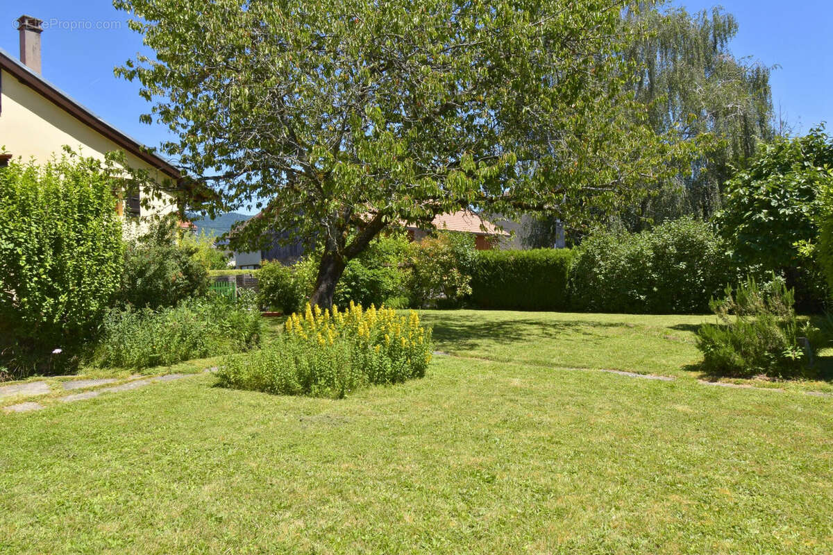 Maison 184 m² à Arthaz-Pont-Notre-Dame  - photo 3