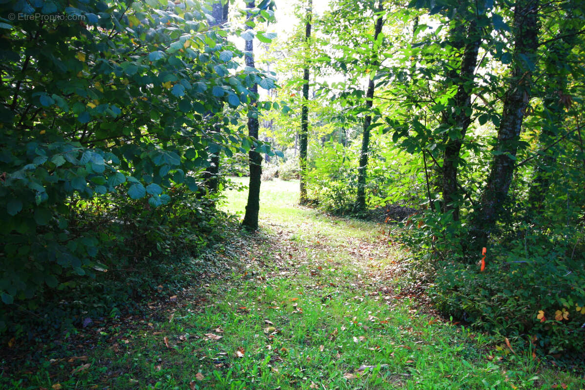 Superbe terrain constructible - photo 3