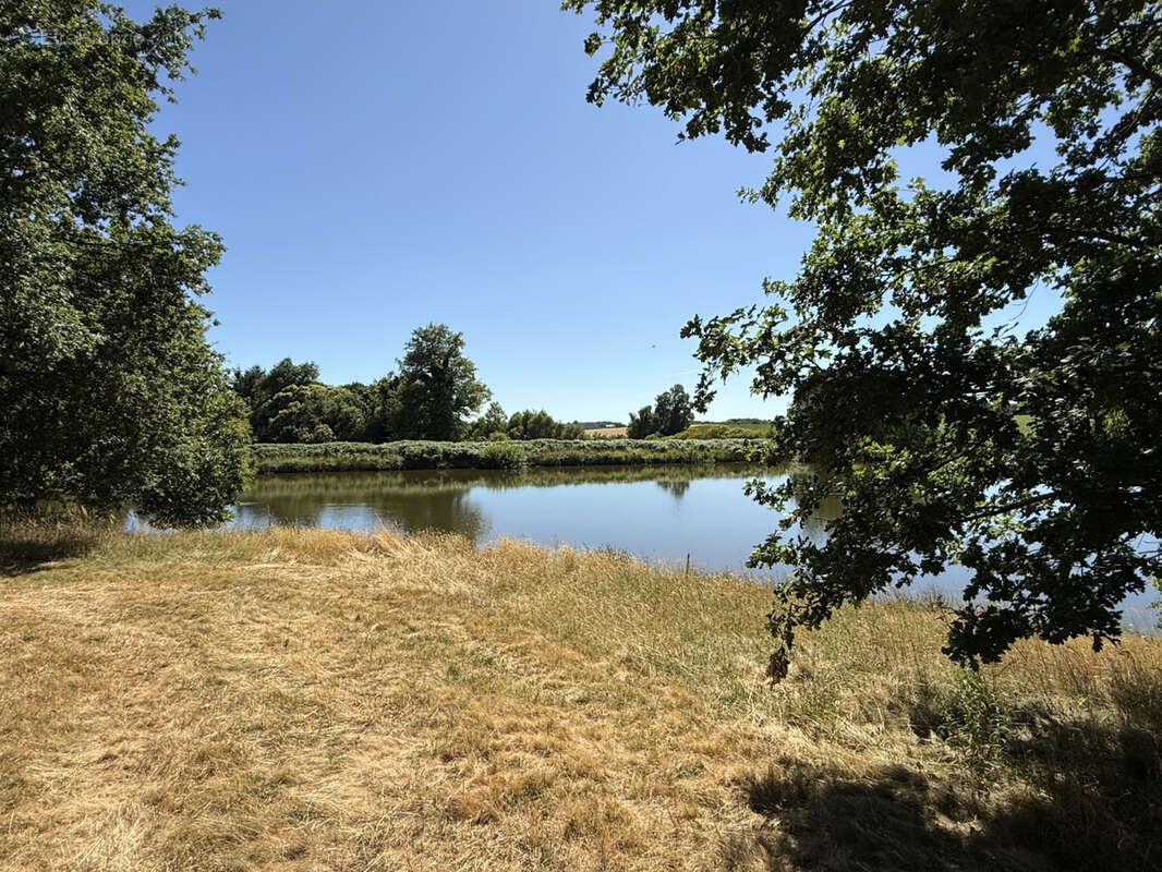 Parcelle de 8ha avec etang - photo 3
