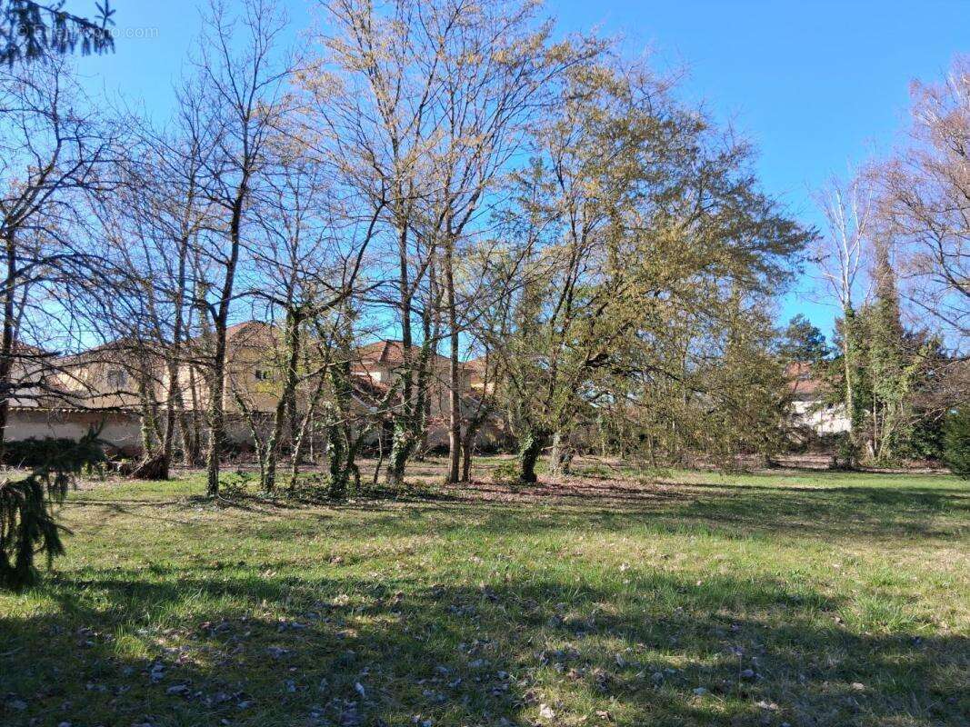 Terrain à PONT-DE-CHERUY