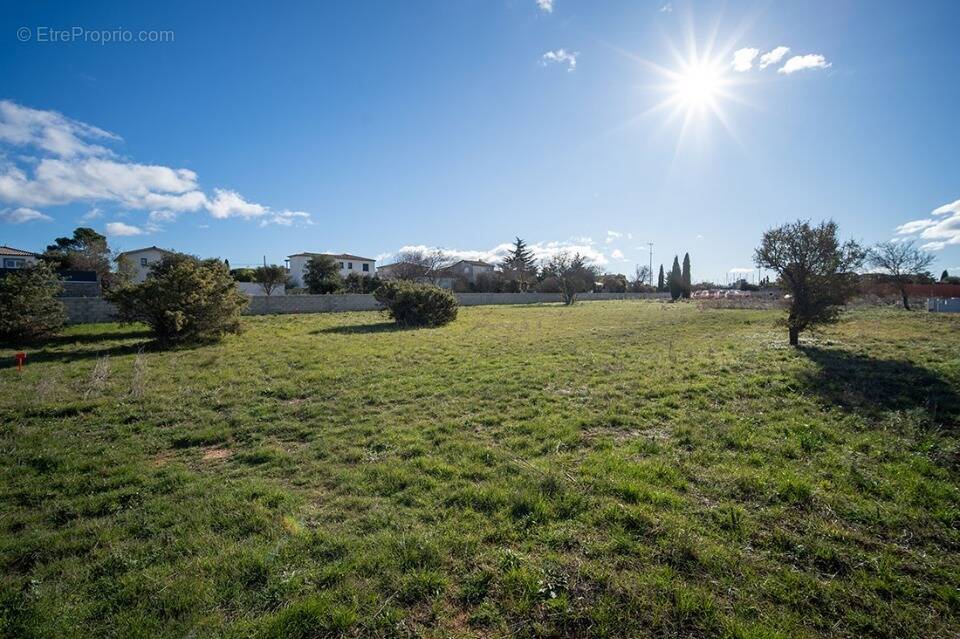 Terrain à POULX
