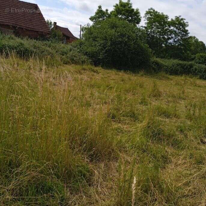 Photo 4 - Terrain à BLETTERANS