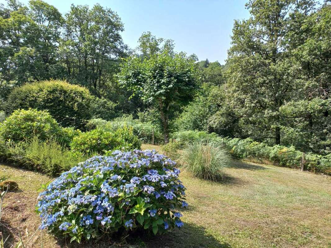 Maison à SAINT-SYLVESTRE