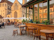 Autre à LA SUZE-SUR-SARTHE