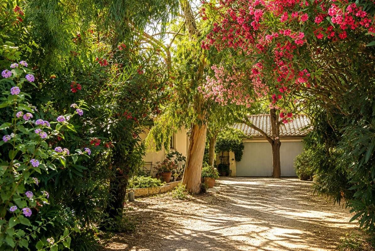 Une propriété introuvable : 2 159 m² de jardin privé au cœur de narbonne - photo 2