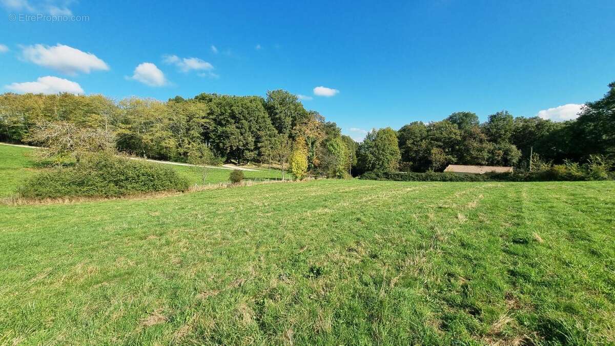 Terrain à SAINT-MARTIN-DES-COMBES