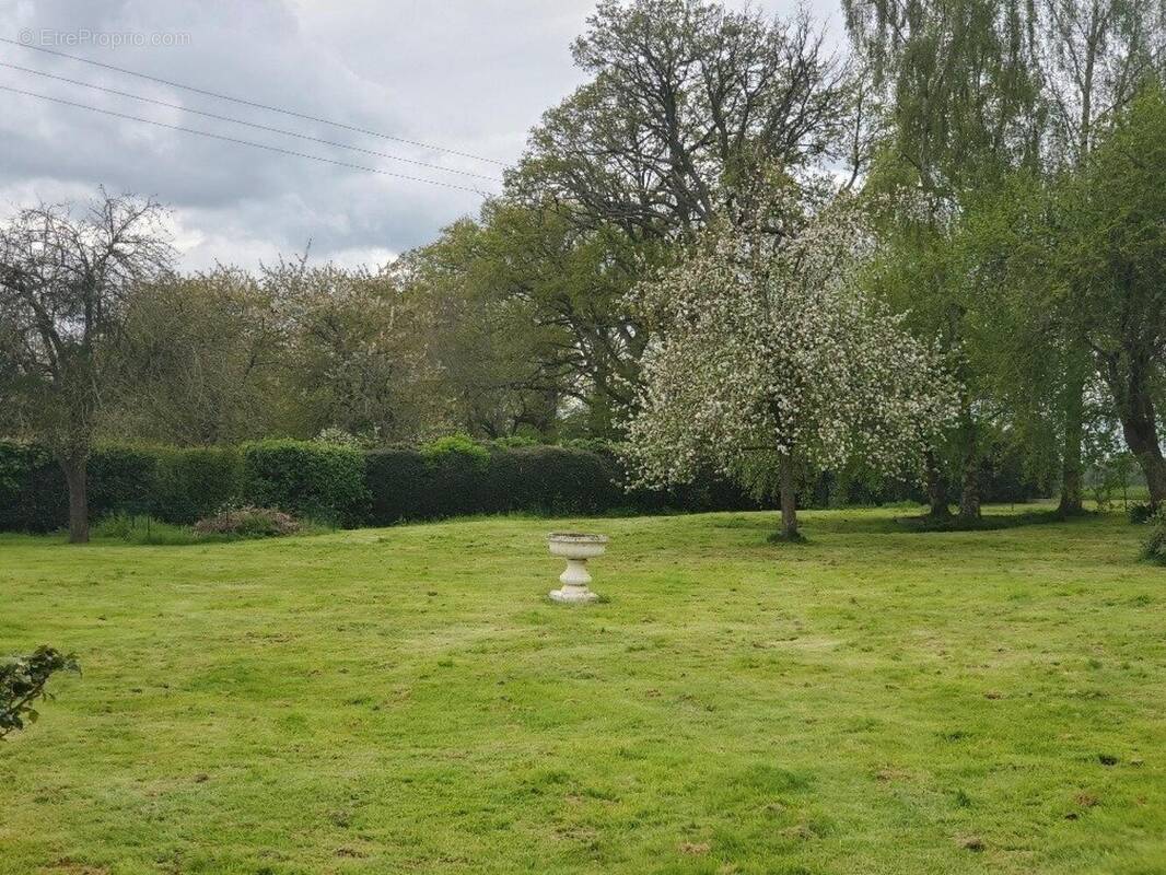 Photo 1 - Terrain à HAUVILLE