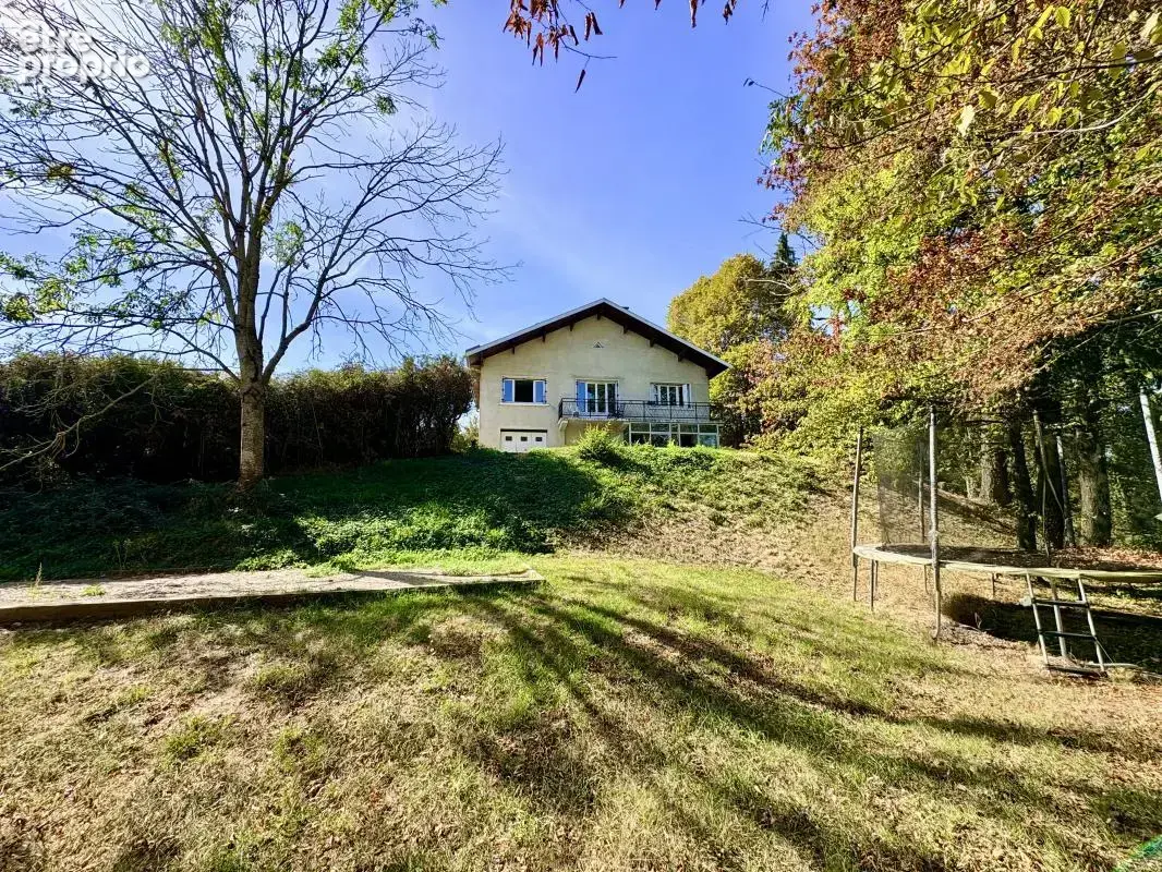 Maison 8 pièces 283 m² à vendre à Saint-Victor-De-Cessieu (38110) - photo 2