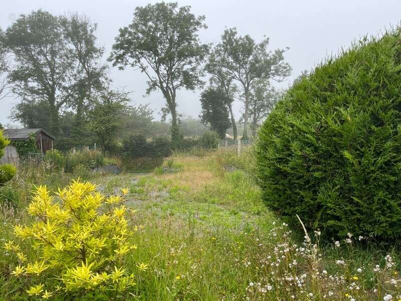 À seulement 5 km de Barneville-Carteret, charmante maison en pierre avec jardin arboré - photo 5
