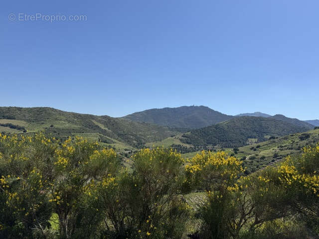 Terrain à COLLIOURE