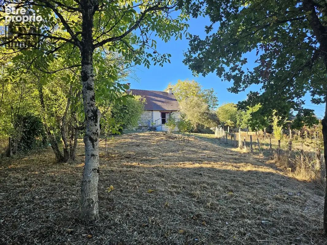 n°10