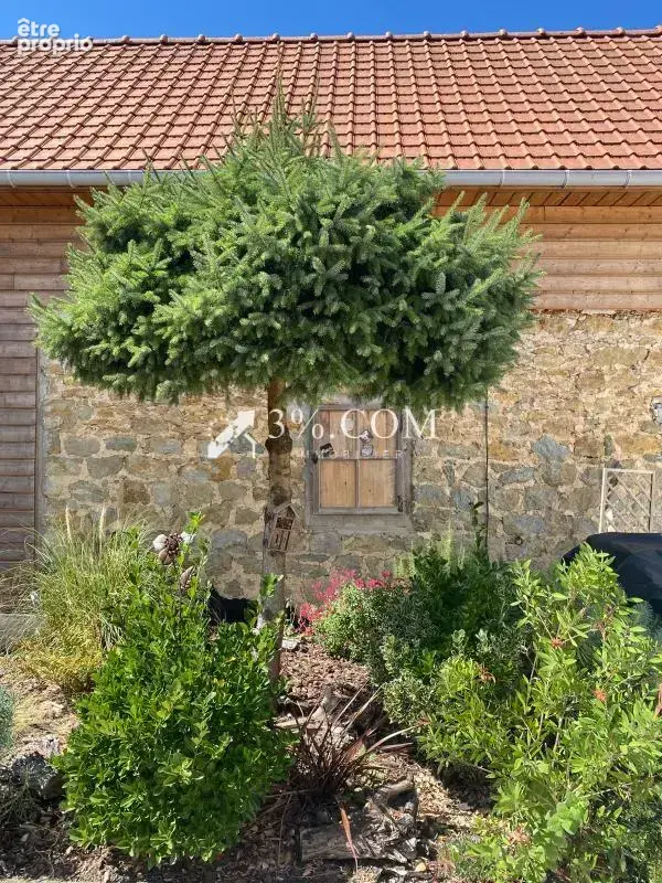 Longère de Charme avec dépendances et revenu locatif à Alinc - photo 13