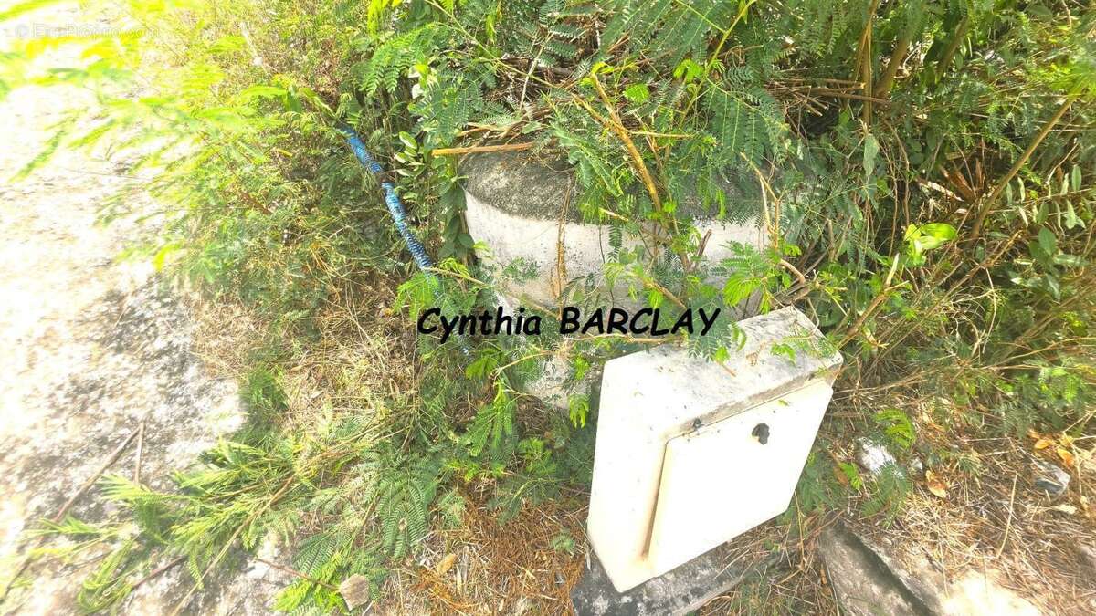 Terrain constructible - photo 5