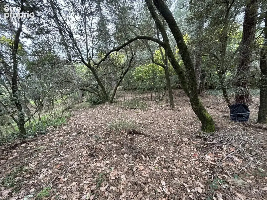 Terrain 1 292 m² à vendre à Ucel (07200) - photo 5