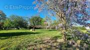 Terrain à BUZET-SUR-TARN