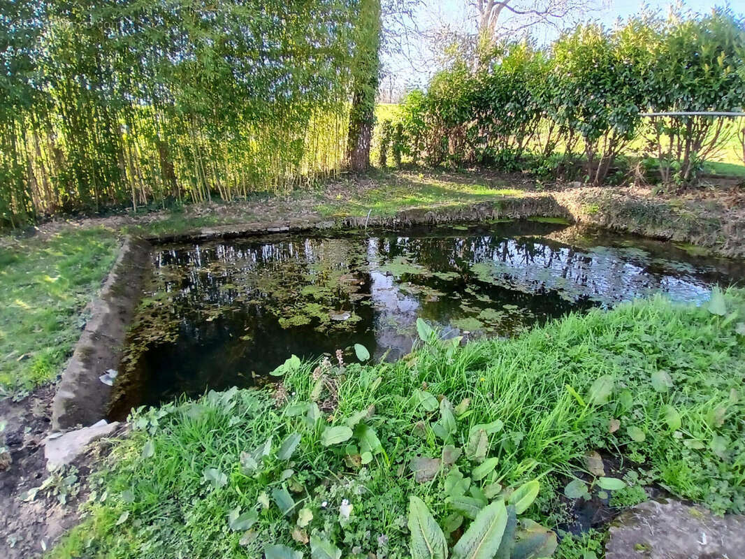 The Pond - Maison à BUSSIERE-GALANT