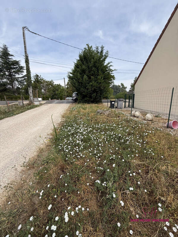 Terrain 400 m² à Clery-Saint-Andre  - photo 4