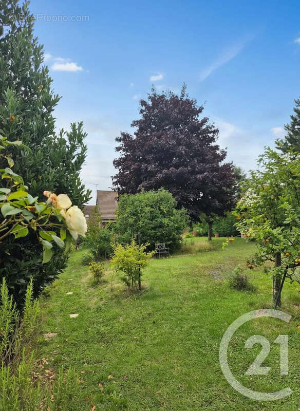 Maison à DELINCOURT