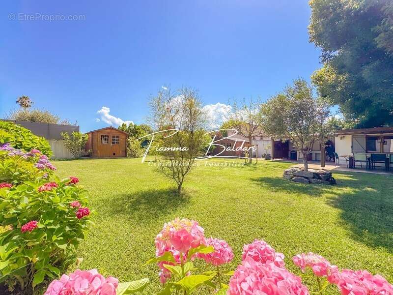 À Vendre Villa 125m² de plain-pied + Dépendance 22m², Terrain 920m², Folelli, Penta di Casinca, Haute-Corse (20) - photo 20