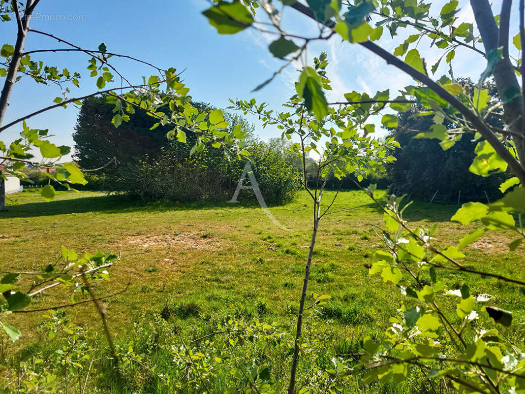 Terrain à NOTRE-DAME-DE-MONTS