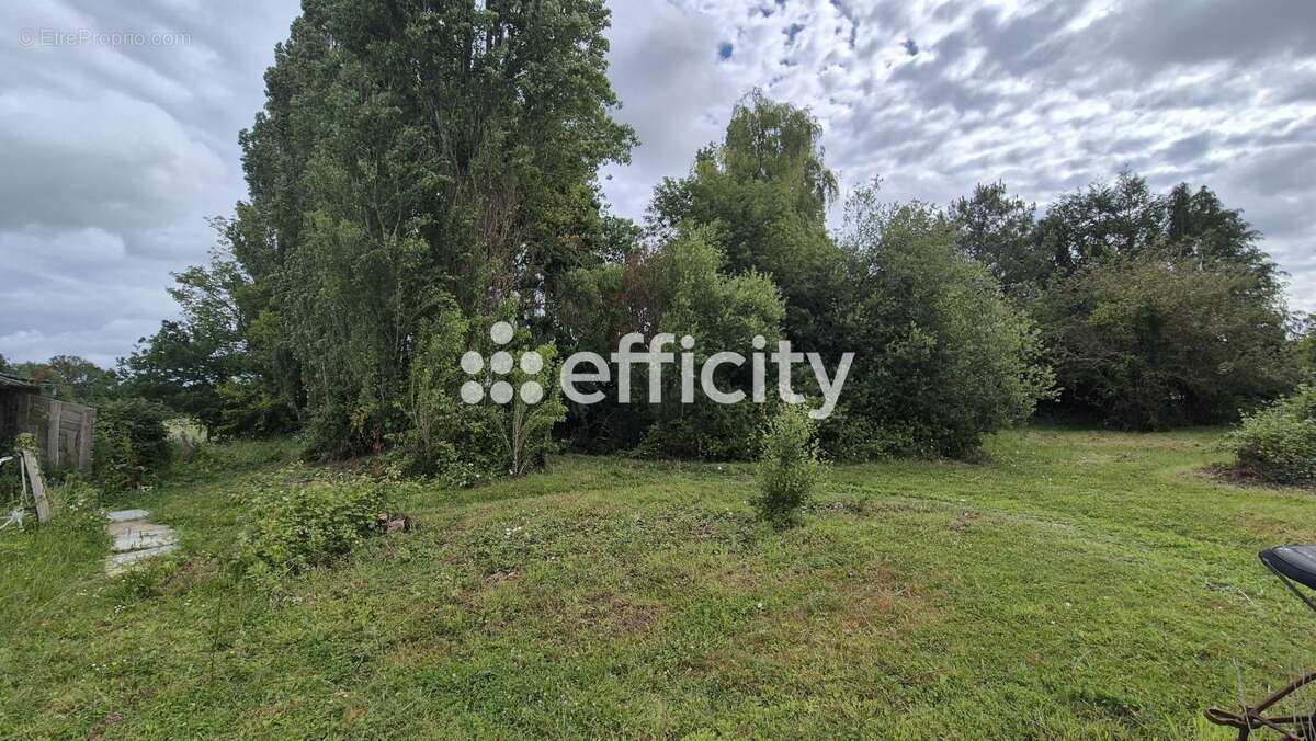 Maison 207 m² à Mandeville-En-Bessin  - photo 12