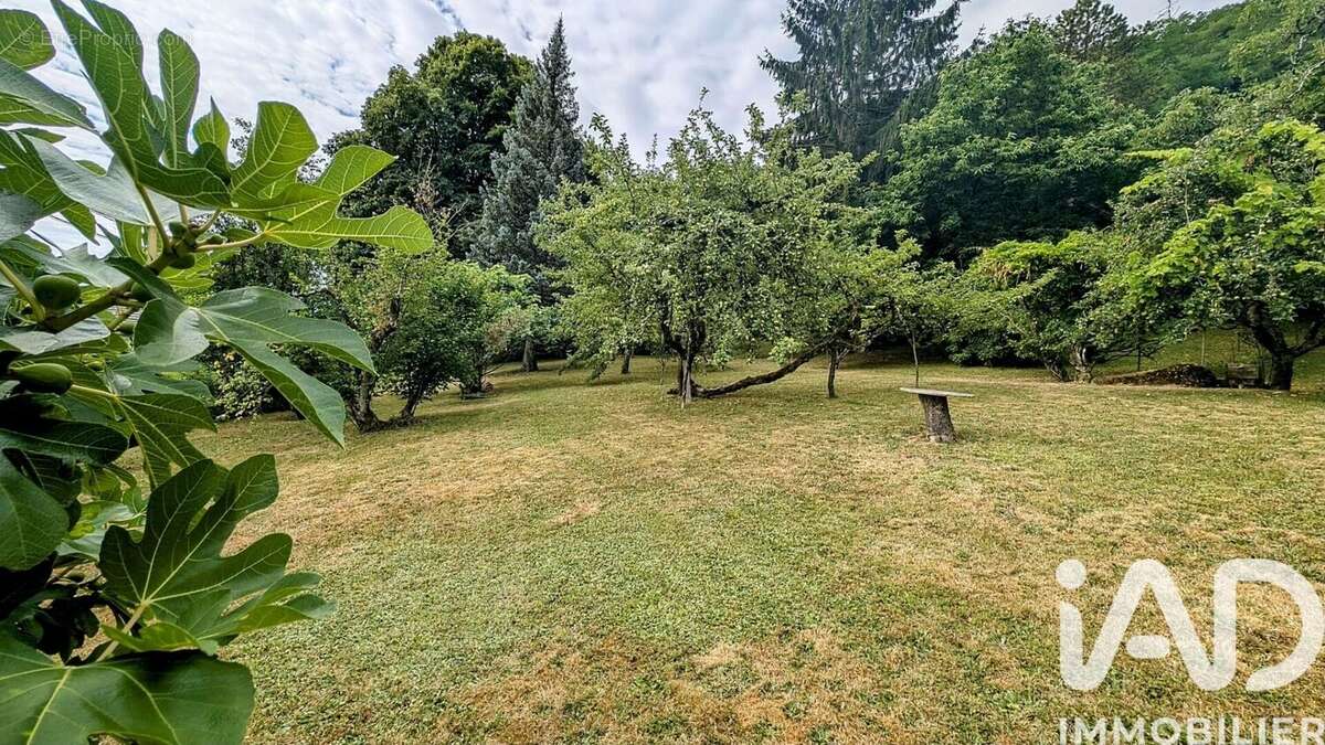 Photo 2 - Terrain à MONNETIER-MORNEX