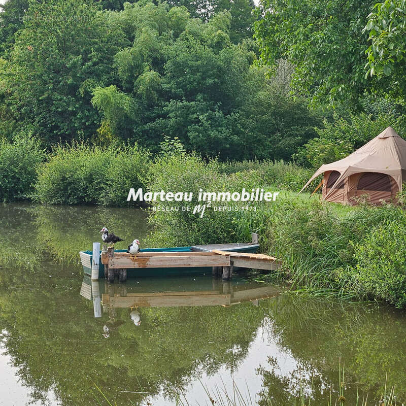Terrain de loisirs - photo 4