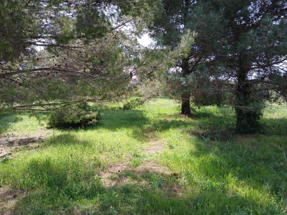 Terrain à SAINT-JEAN-DE-FOS