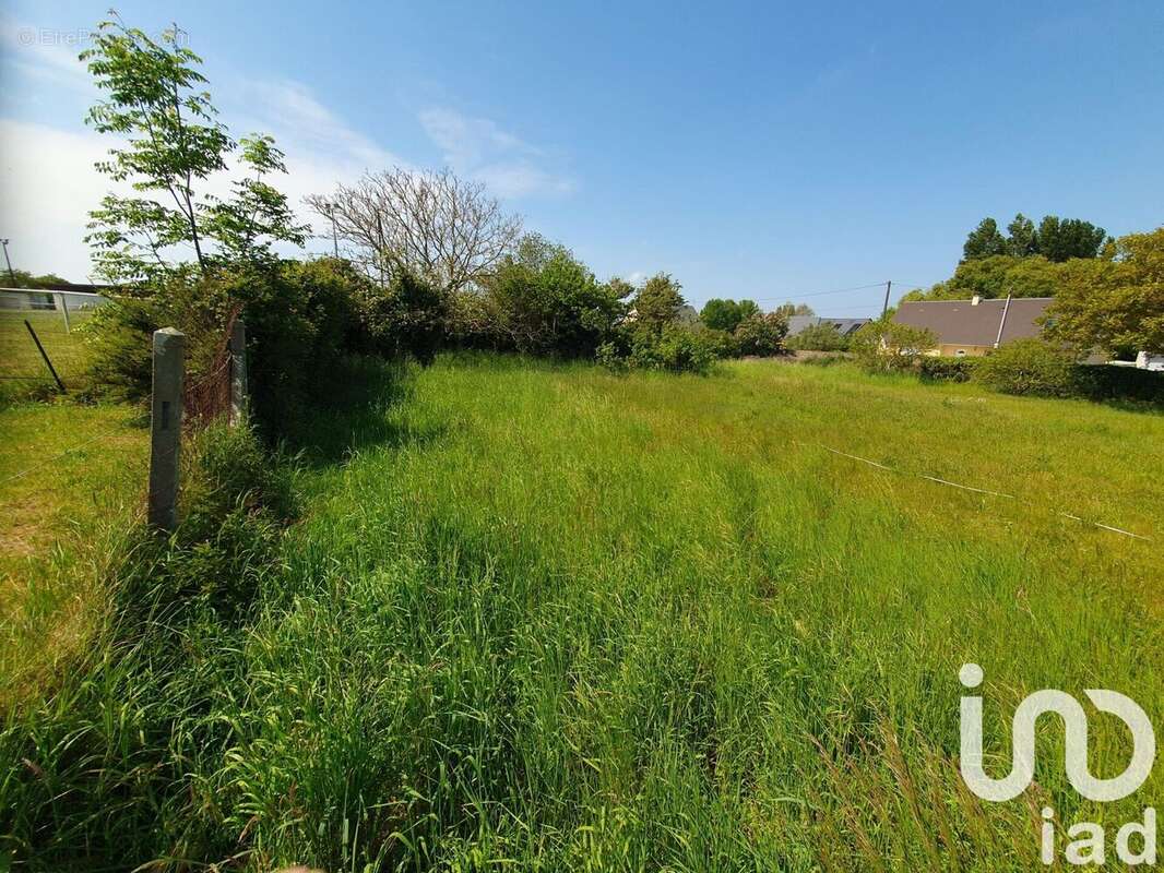 Photo 3 - Terrain à LINGREVILLE